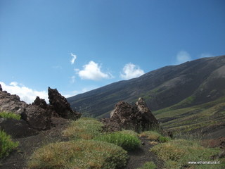 Monte_Nero_delle_Concazze - 30-06-2013 10-34-14.JPG
